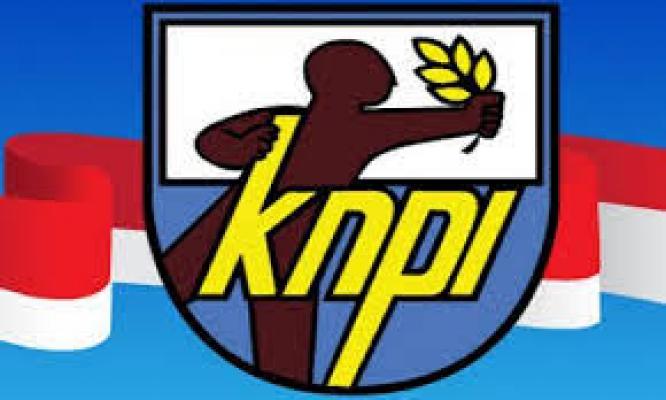 Terkait Dualisme, KNPI Labuhanbatu Berharap Pemerintah Bijak Menyelesaikannya