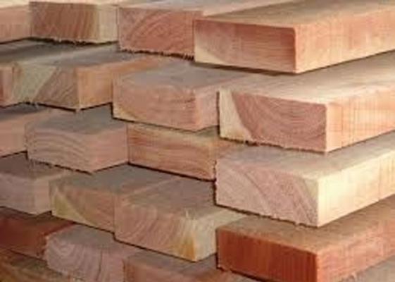 BBTNGL Gagalkan Pengiriman Kayu Curian