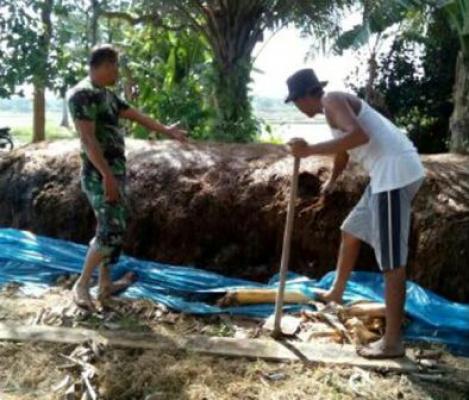 Babinsa Talawi Bimbing Kelompok Tani Buat Pupuk Organik