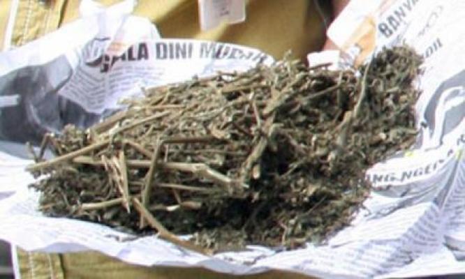 Ganja 5 Kg yang Dibawa Penumpang Nam Air Dibeli dengan Harga Rp 6 Juta dari Aceh