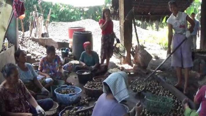 Jelang Puasa, Permintaan Kolang-Kaling Meningkat 5 Kali Lipat