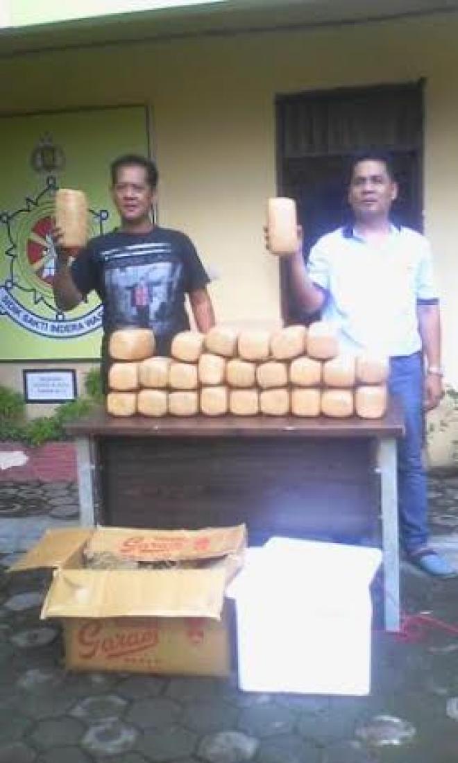 26 Bal Ganja Ditemukan di Pekarangan Loket Bus Naiki Perusahaan Minang 