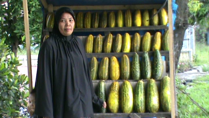 Penjual Timun Suri Dapat Berkah Ramadhan