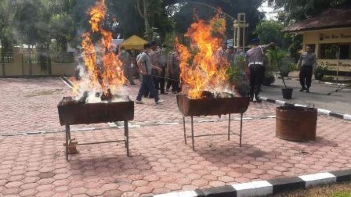 Polres Langkat Musnahkan 22 Kg Ganja Kering