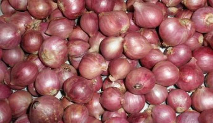 Supir dan Kernet Pengangkut Bawang Ilegal Terancam Hukuman 3 Tahun Penjara