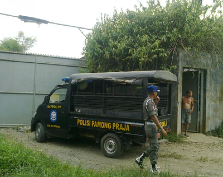 Razia Ternak Ayam, Pol PP Pulang Bawa Telur