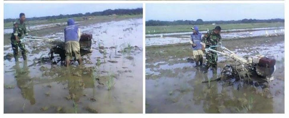 Babinsa Dampingi Petani Langkat Bajak Sawah