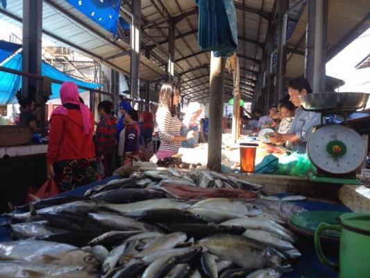 Harga Ikan di Binjai Berangsur Normal
