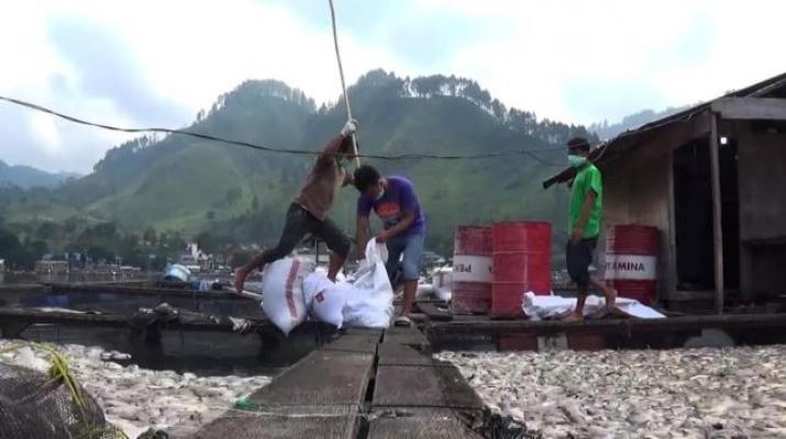 Pemprov Sumut Segera Keluarkan Pergub Zonasi KJA di Kawasan Danau Toba