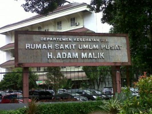 RSUP Adam Malik Kekurangan Tenaga Perawat