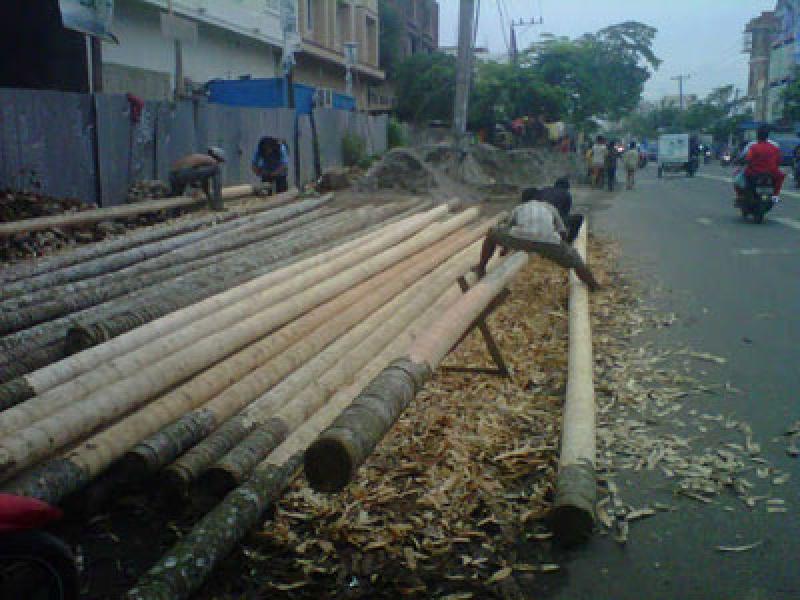 Penjual Pohon Pinang Kebanjiran Order