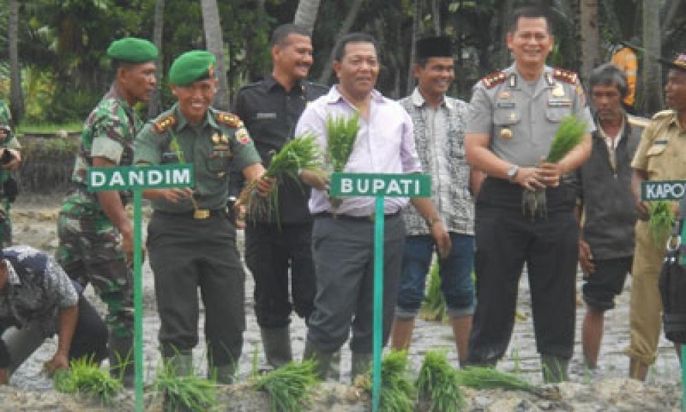 Dandim 0212 TS dan Plt Bupati Madina Tanam Perdana Padi SRI