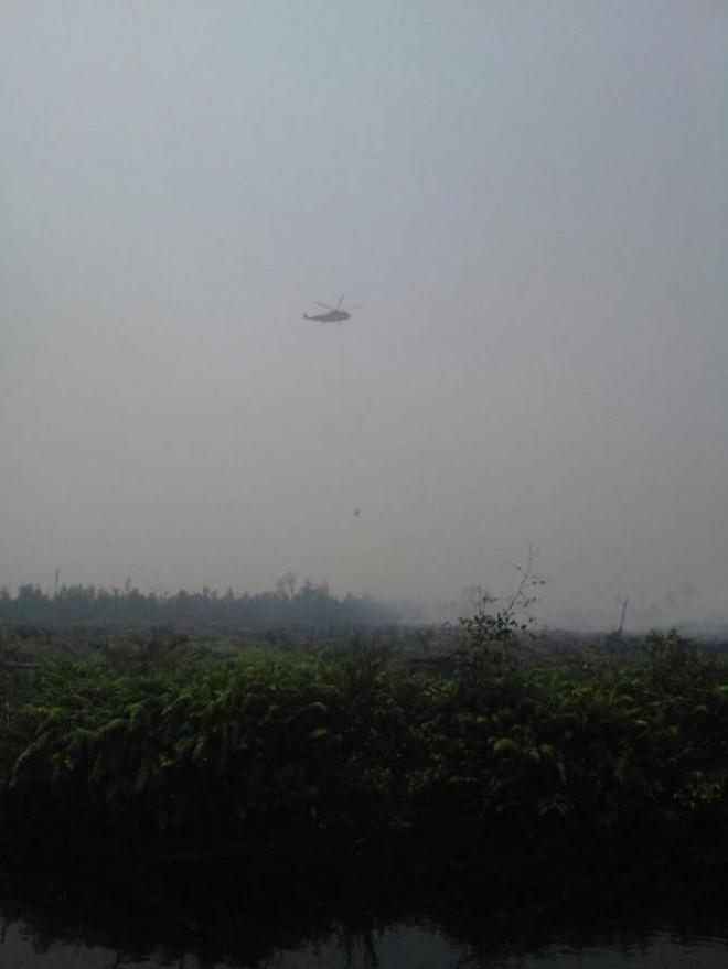 1.438 Titik Api Kepung Sumatera dan Kalimantan