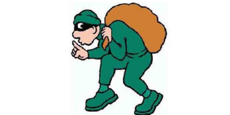 Curi Televisi Dari Rumah Contoh Perumahan Grand Menteng Indah, 2 Pengangguran Dibui