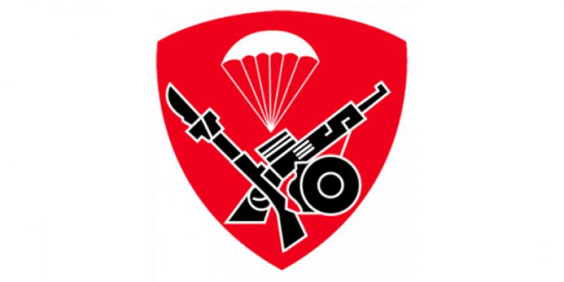 Sertijab Danwing III Paskhas: Dari Kolonel Silaban ke Kolonel Siregar 