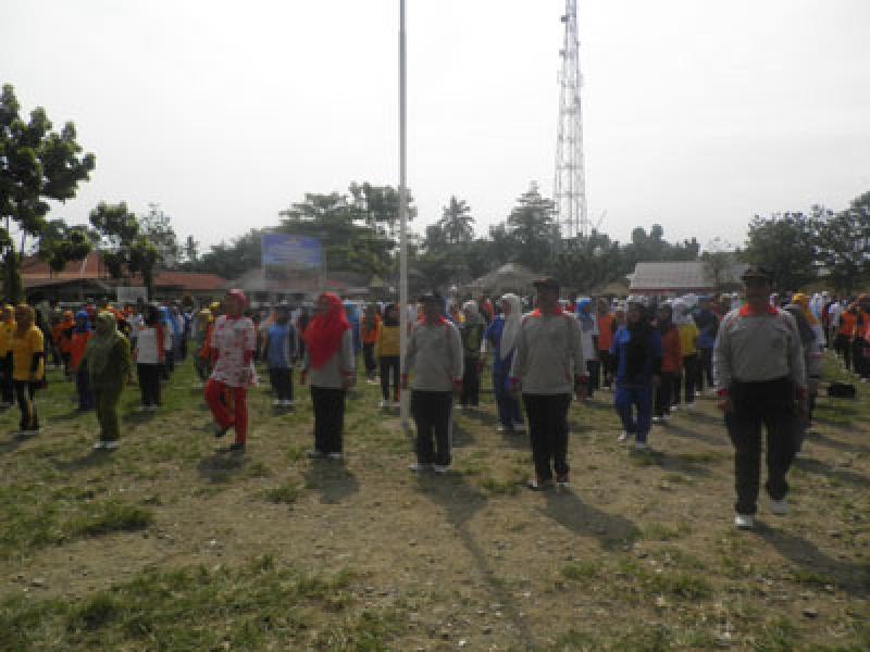 Pemkab Palas Peringati Haornas