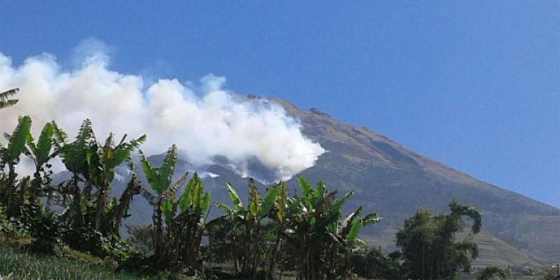 Penegakan Hukum Karhutla Akan Dituntaskan