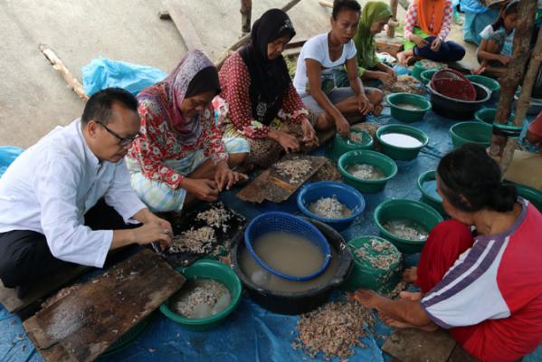 Ramadhan Pohan Satu Jam Lebih Mengupas Udang Dengan Warga Marelan