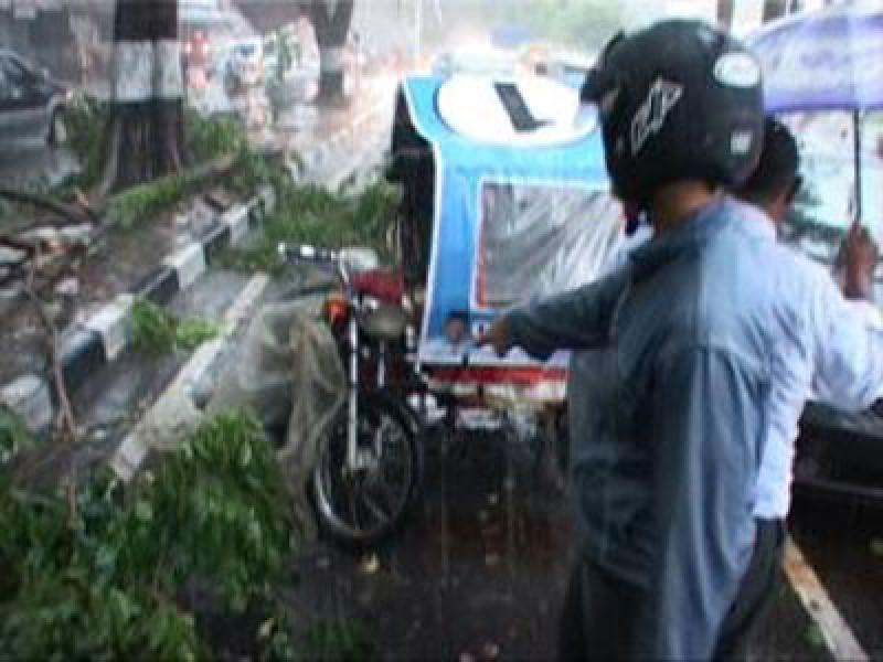 Pengemudi Betor Tewas Tertimpa Pohon di Medan
