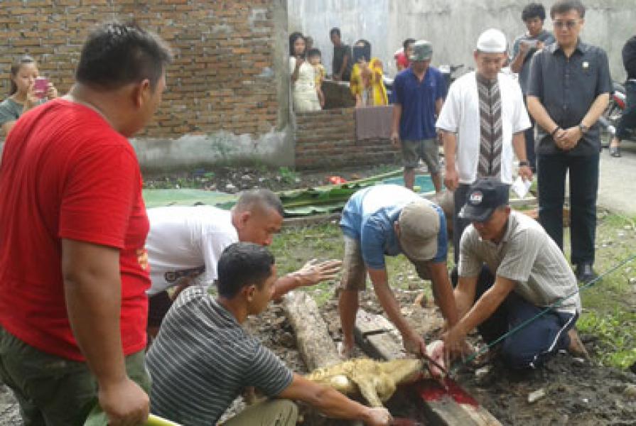 Hasyim Sumbang Hewan Kurban ke PITI dan PSMTI