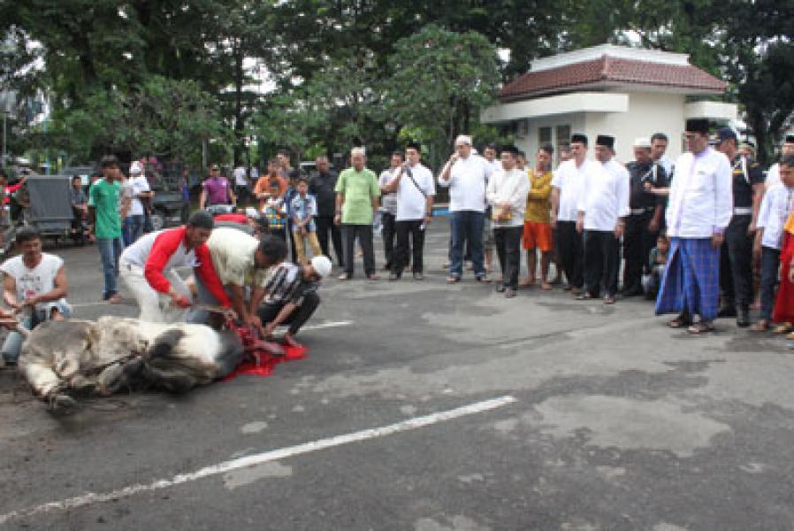 Keluarga Besar Kantor Pusat PTPN IV Kurban 11 Sapi, 26 Kambing