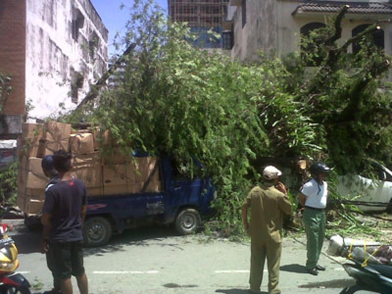 Korban Tertimpa Pohon Tumbang Dirawat di RS Materna Medan