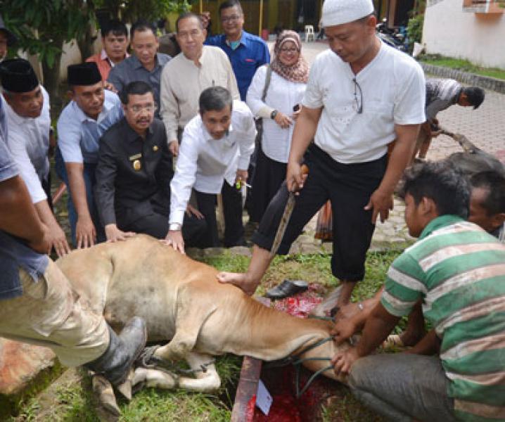 PWI Sumut Sembelih 4 Lembu Kurban