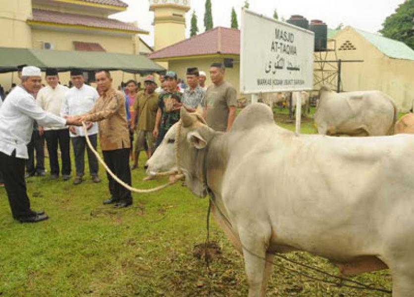 Ibadah Haji dan Kurban Pererat Kebersamaan
