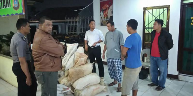 Polres Tapsel Gerebek Tambang Liar, 16 Orang Ditangkap