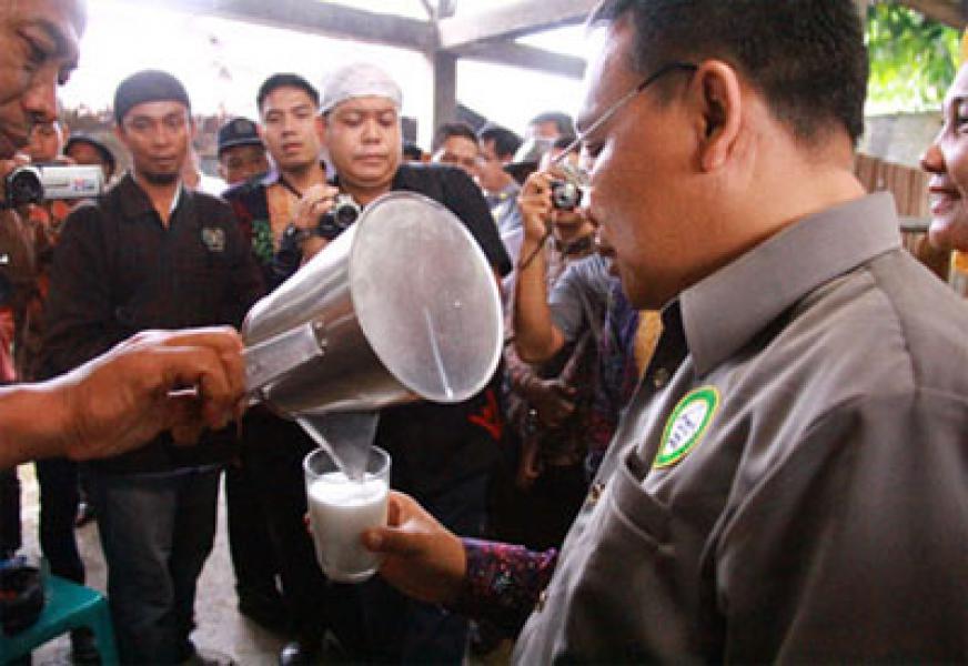 Pemko Binjai Serius Mengembangkan Peternakan