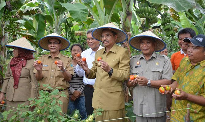 Pekan Pasar Petani Sumut 2015 Digelar di Deliserdang