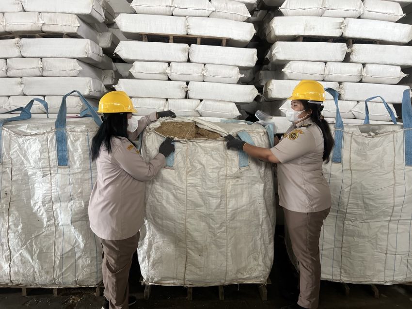 Tembus Rp1 Miliar, Karantina Kawal Ekspor Bonggol Jagung Sumut ke Jepang